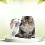 Scopri SpazzolAmica: elimina i peli degli animali in casa in modo facile e veloce